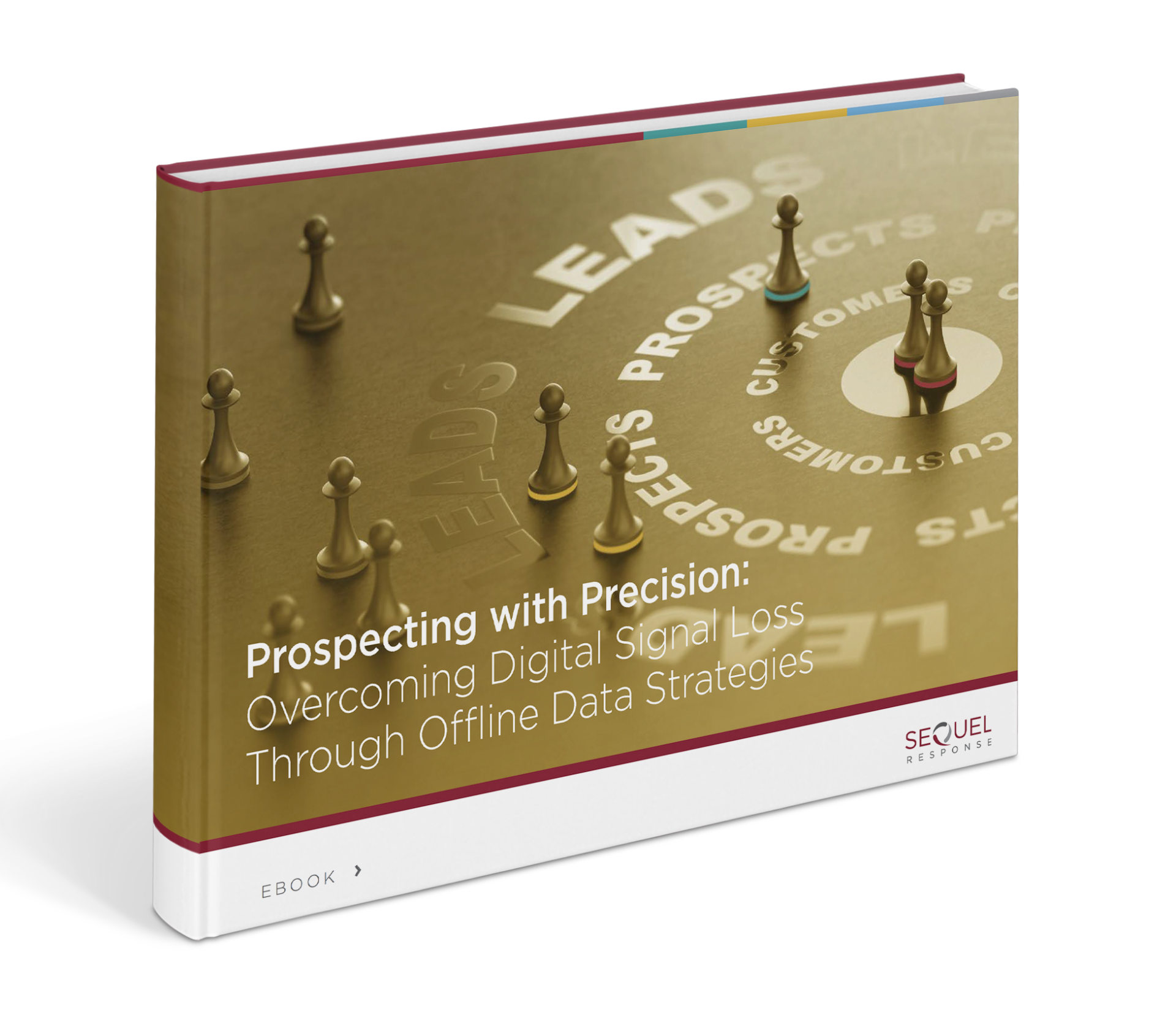 Prospecting with Precision e-book cover image